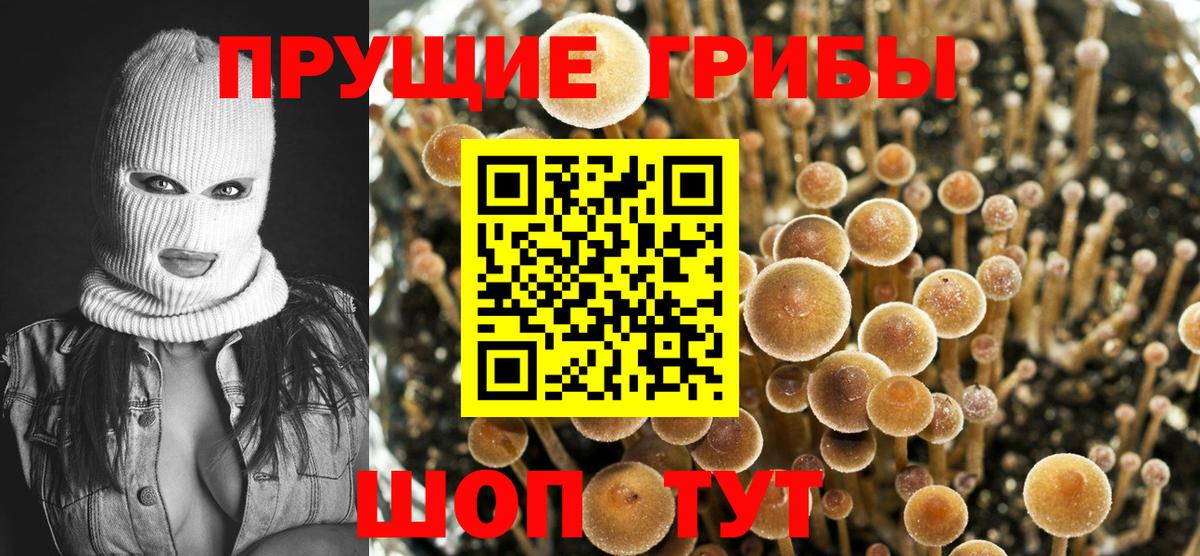 Асино  Галлюциногенные грибы ЛСД  Вход с VPN  где продают   Галлюциногенные грибы мухоморы 