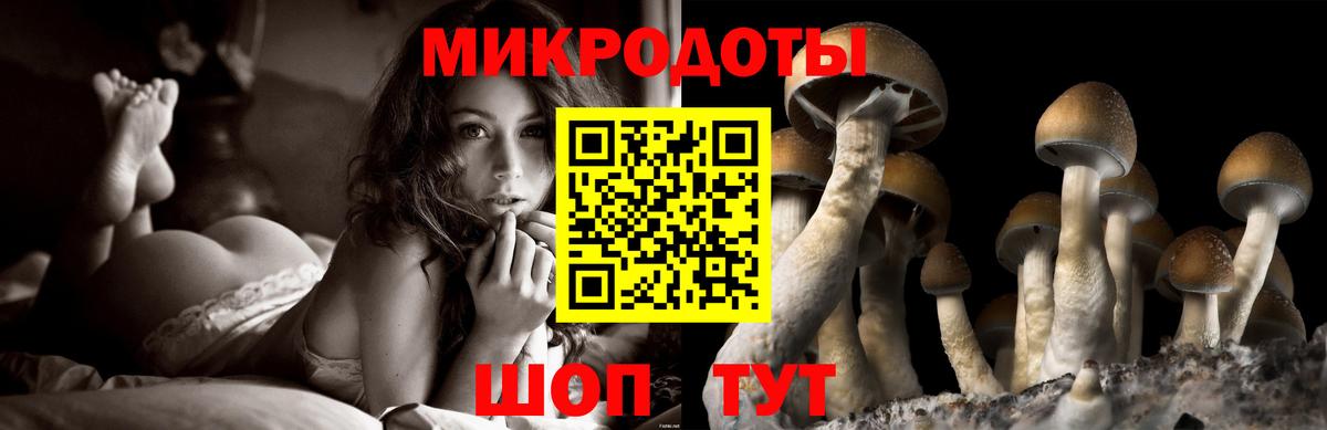 Псилоцибиновые грибы ЛСД Асино
